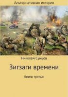 Зигзаги времени. Книга 3